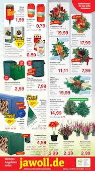 Kaminholz Angebot im Jawoll Prospekt, gültig von 27.10.2025 bis 01.11.2025 Kaminholz Angebot im aktuellen Jawoll Prospekt auf Seite 12