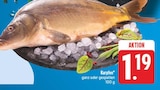 Aktuelle Fisch Angebote bei E center in Würzburg Aktuelles Karpfen Angebot bei E center in Würzburg ab 1,19 €