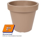Blumentopf Angebote bei Action Recklinghausen für 2,44 €