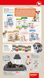 Spielwaren im Zookauf Prospekt in Remscheid Aktueller Zookauf Prospekt mit Spielwaren, "GUT VERSORGT INS NEUE JAHR!", Seite 3