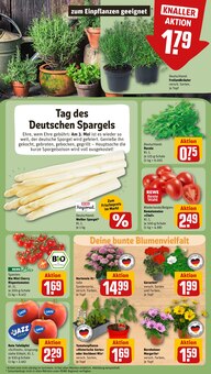 Tomaten im REWE Prospekt "Dein Markt" mit 30 Seiten (Jena)