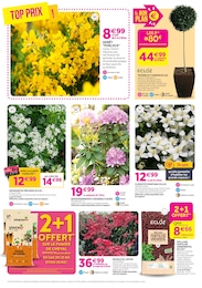 Offre Cheval dans le catalogue Delbard du moment à la page 6