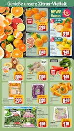 Lebensmittel im REWE Prospekt in Speyer Aktueller REWE Prospekt mit Lebensmittel, "Dein Markt", Seite 6