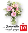 Aktuelles Pfingstrosensträuße Angebot bei EDEKA in Saarbrücken ab 7,99 €