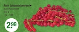 V-Markt - Rote Johannisbeeren Angebot im Prospekt Rote Johannisbeeren bei V-Markt im Prospekt "" für 2,99 €
