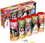 Jugendfeuerwerk "Crazy Party" Angebote von weco bei REWE Jena für 4,99 €