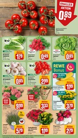 Blumen im REWE Prospekt in Filderstadt Aktueller REWE Prospekt mit Blumen, "Dein Markt", Seite 7