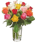 Rosen im tegut Prospekt Rosen von im aktuellen tegut Prospekt für 2,99 €