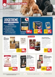 Offre Croquettes chien adulte dans le catalogue Animalis du moment à la page 4