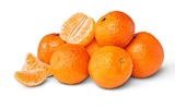 Mandarinen im Angebot bei Penny in Bremerhaven Mandarinen Angebote bei Penny Bremerhaven für 1,79 €