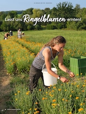 Kräutertopf Angebote im Prospekt "Alnatura Magazin" von Alnatura Kräutertopf Angebote im Prospekt "Alnatura Magazin" von Alnatura auf Seite 42
