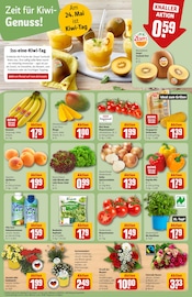 Pflanzen Angebote im Prospekt "Dein Markt" von REWE Pflanzen Angebote im Prospekt "Dein Markt" von REWE auf Seite 14