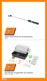 Sport im Action Prospekt "Wochenangebote" auf Seite 31