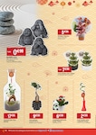 Plantes Plantes