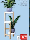 Bambus Pflanzenständer im Angebot bei Marktkauf in Leipzig Bambus Pflanzenständer Angebote bei Marktkauf Leipzig für 12,99 €