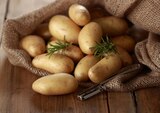 Speisekartoffeln »Die Feinen« im Angebot bei REWE in Mettmann Speisekartoffeln »Die Feinen« Angebote von REWE Beste Wahl bei REWE Mettmann für 1,79 €