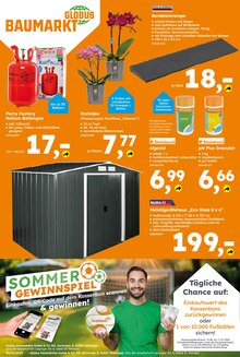 Pflanzen im Globus-Baumarkt Prospekt "Immer eine Idee besser" mit 16 Seiten (Braunschweig)