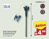 Solar-Gartenstab Schmetterling für 4,99 € bei famila Nordwest im Angebot Solar-Gartenstab Schmetterling im aktuellen famila Nordwest Prospekt
