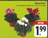 Alpenveilchen Angebote bei EDEKA Erlangen für 1,99 €