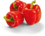 Paprika rot Angebote bei Netto Marken-Discount Dreieich für 0,69 €