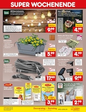 Box im Netto Marken-Discount Prospekt in Gelsenkirchen Aktueller Netto Marken-Discount Prospekt mit Box, "Aktuelle Angebote", Seite 41