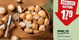 Braune Bio Champignons im Angebot bei REWE in Recklinghausen Braune Bio Champignons Angebote von REWE Bio bei REWE Recklinghausen für 1,79 €
