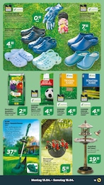 Handschuhe Angebot im aktuellen Netto mit dem Scottie Prospekt auf Seite 23