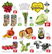 Aktueller Marktkauf Prospekt mit Stauden, "Aktuelle Angebote", Seite 3