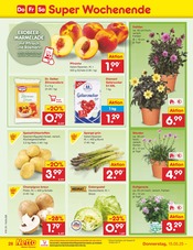 Pilze im Netto Marken-Discount Prospekt in Trier Aktueller Netto Marken-Discount Prospekt mit Pilze, "Aktuelle Angebote", Seite 50