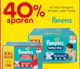 40% im Angebot bei Netto Marken-Discount in Bruchsal 40% Angebote von Pampers bei Netto Marken-Discount Bruchsal
