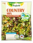 Country-Mix oder Family-Mix Angebote von Bonduelle bei REWE Remscheid für 2,39 €