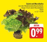 Salatrio mit Wurzelballen im Angebot bei EDEKA in Altenburg Salatrio mit Wurzelballen Angebote bei EDEKA Altenburg für 0,99 €