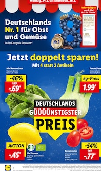 Fenchel im Lidl Prospekt "LIDL LOHNT SICH" mit 61 Seiten (Bielefeld)