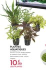 PLANTES AQUATIQUES à Truffaut dans Noisy-le-Sec PLANTES AQUATIQUES à Truffaut dans Noisy-le-Sec