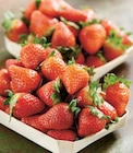 Intermarché Villespassans - Promo Fraise Ronde Promo Fraise Ronde à 3,98 € dans le catalogue Intermarché à Villespassans