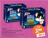 Aktuelle Felix Katzenfutter Angebote bei tegut in Nürnberg Aktuelles So gut wie es aussieht Katzennahrung Angebot bei tegut in Nürnberg ab 3,99 €