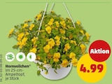Hornveilchen Angebote bei Penny Gera für 4,99 €