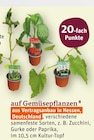 Aktuelle Pflanzen Angebote bei tegut in Nürnberg Aktuelles 20-fach Punkte Angebot bei tegut in Nürnberg