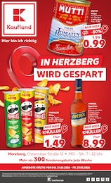 Aktueller Kaufland Supermarkt Prospekt für Bad Liebenwerda 21.05.2026 - 27.05.2026 Kaufland Prospekt für Bad Liebenwerda mit 66 Seiten