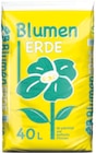 Blumenerde Angebote von Blumenerde bei Thomas Philipps Brandenburg für 2,39 €