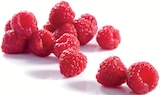 Supermarchés Match Ars-sur-Moselle - Promo Framboise Promo Framboise à 2,49 € dans le catalogue Supermarchés Match à Ars-sur-Moselle