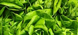 Kaufland - Dtsch. Eisbergsalat Angebot im Prospekt Dtsch. Eisbergsalat bei Kaufland im Prospekt "" für 0,55 €