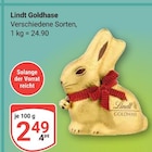 Goldhase bei GLOBUS im Prospekt "" für 2,49 €