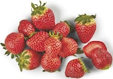 Erdbeeren bei combi im Schmallenberg Prospekt für 