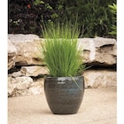 Jardiland Charmeil - Promo Pot "Azahar" Promo Pot "Azahar" à 7,99 € dans le catalogue Jardiland à Charmeil
