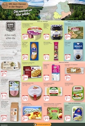 Aktueller GLOBUS Prospekt mit Bürger Maultasche, "Aktuelle Angebote", Seite 15