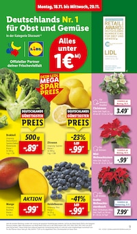 Blumen im Lidl Prospekt "LIDL LOHNT SICH" mit 62 Seiten (Aachen)