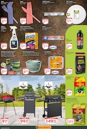 Aktueller GLOBUS Prospekt mit Grillkohle, "Aktuelle Angebote", Seite 21