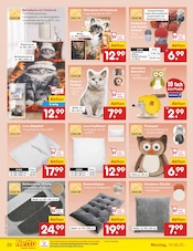 Ähnliche Angebote wie Kunstrasen im Prospekt "Aktuelle Angebote" auf Seite 24 von Netto Marken-Discount in Langenfeld