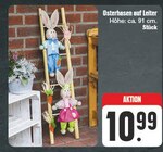 Osterhasen auf Leiter bei EDEKA im Sandersdorf Prospekt für 10,99 €